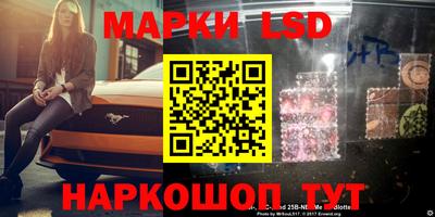 индика Новозыбков