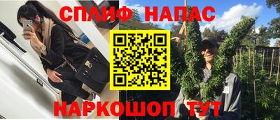 СК Обнинск