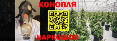 индика Новозыбков
