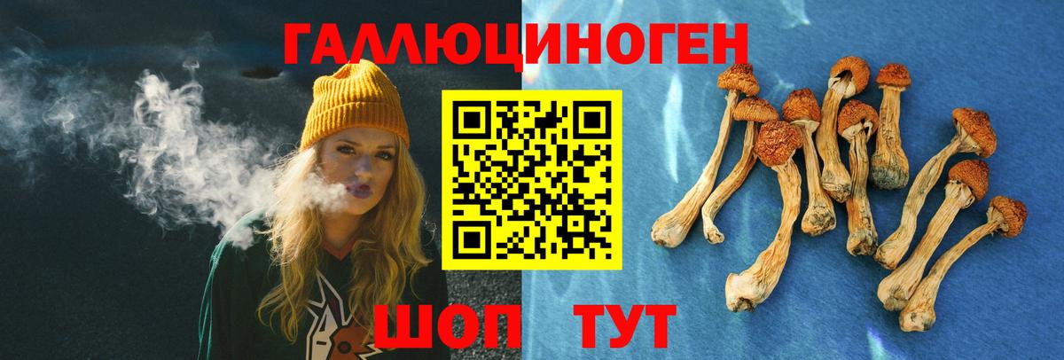 Галлюциногенные грибы мицелий  Вход с VPN  Сунжа  Псилоцибиновые грибы GOLDEN TEACHER 